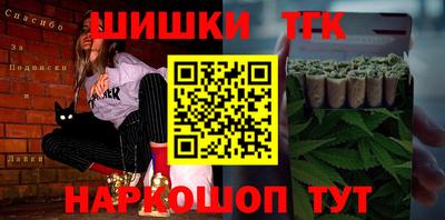 мдпв Кингисепп