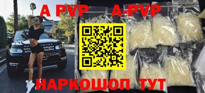 мдпв Кингисепп