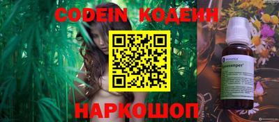 спиды Камышлов