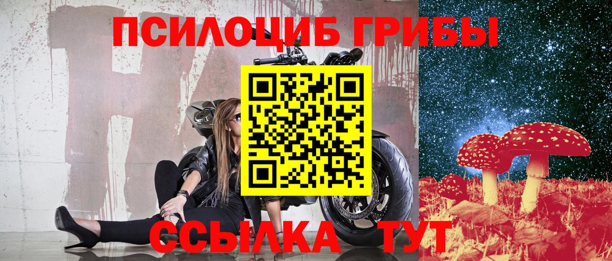 Лениногорск  Псилоцибиновые грибы Magic Shrooms  Вход с VPN 